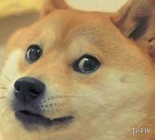  狗头是什么意思狗头表情包