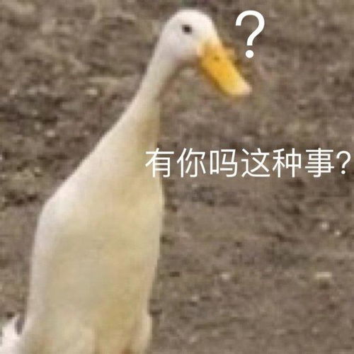  十条笑话听说这件事情之后,闺蜜老公在家里说话都是跪着的