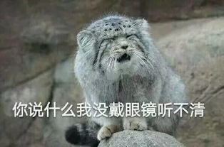  上海交大毕业生薪酬全国排名第四你拖后腿了吗