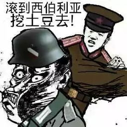  除了女兵,苏德战争还应该知道的八件事军史图集