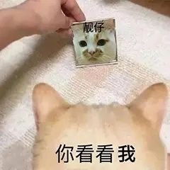 一时说不出话表情包沙雕
