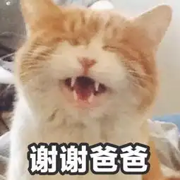  葡京豆捞