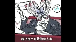  脑叶梗图