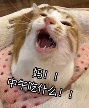  放暑假的你表情包全套无水印放暑假的你表情包高清完整版下载