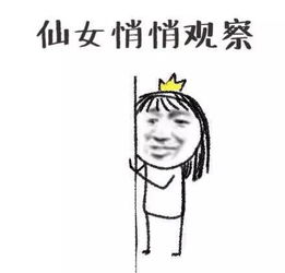  好机江滨南路南安段二期今年计划投资2亿