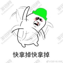  快拿掉快拿掉绿帽子表情包下载快拿掉快拿掉绿帽子表情包app下载快拿掉快拿掉绿帽子表情包手机版下载