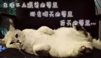 笑掉大牙有了这波毒鸡汤表情包,我多年的丧病终于有救了 笑掉大牙有了这波毒鸡汤表情包,我多年的丧病终于有救了