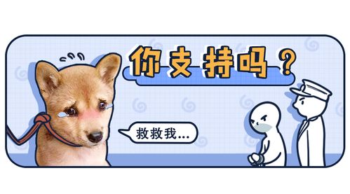  终于能等到虐狗的人进监狱了吗