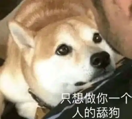  来啊,斗图啊表情有的是