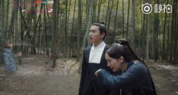  三生三世里有故事的不止赵又廷一个