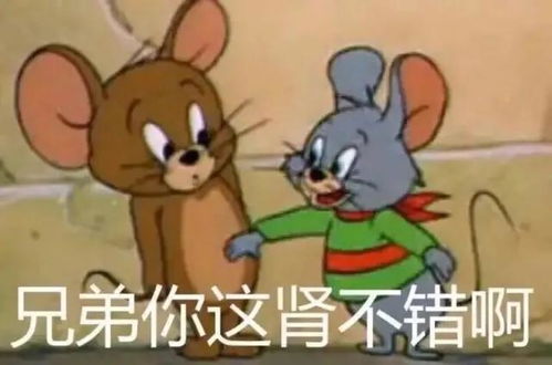  表情包只有这间军大衣还有点人间的温度