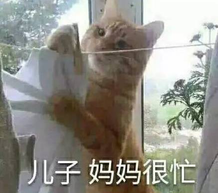 玩蛇表情包接招