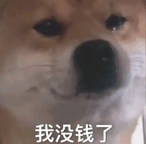 猫狗表情包图片你不是我对手 猫狗表情包图片你不是我对手