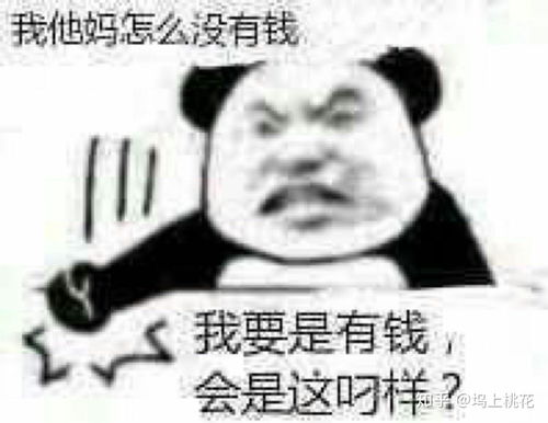  有哪些一秒让人开心的表情包