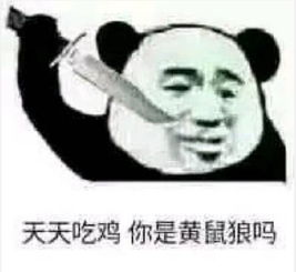  聊天逗趣专用表情包我有点喜欢你才找你讲话,干嘛凶我