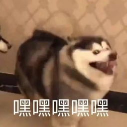  一餐厅出现惊悚菜名,我是不是亲眼见证了什么现场