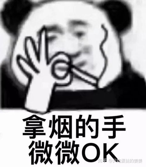  如何以我入宫当了妃子,但却一不小心看上了皇后为开头写一篇小说