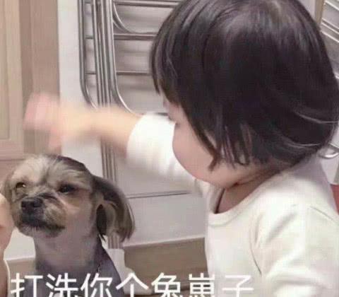  萌宠萌娃表情包太冷不想打字,你懂我意思吧