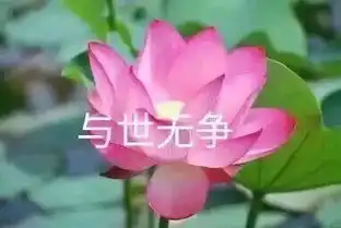 大学生活怎么过听听学长学姐的血泪史 大学生活怎么过听听学长学姐的血泪史