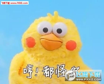 小鹦鹉表情包q版丽莎