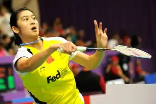 2010年巴黎世界羽毛球锦标赛精彩图片组图4 2010年巴黎世界羽毛球锦标赛精彩图片组图4