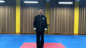  精剪二十四式简化太极拳左右镜像版