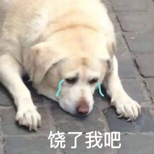  有哪些让人看完秒收藏的沙雕朋友圈文案