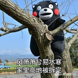  王者荣耀斗图表情包第七十三期让开我能五杀
