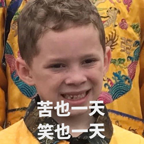 大无语事件发生表情包拉
