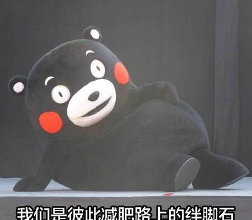 熊本熊搞笑萌呆表情包一句晚安,然后各自熬夜 熊本熊搞笑萌呆表情包一句晚安,然后各自熬夜