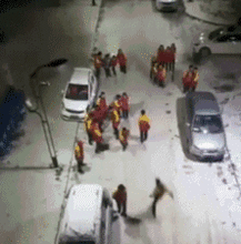 搞笑gif趣图狗子你干了坏事,还和我吐舌头,过分了 搞笑gif趣图狗子你干了坏事,还和我吐舌头,过分了