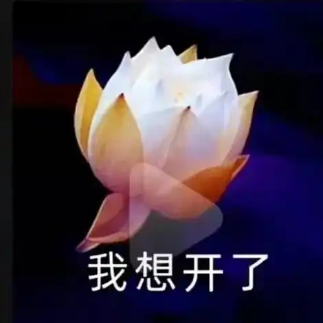 表情包做一朵莲花,心静如水,清心寡欲 表情包做一朵莲花,心静如水,清心寡欲