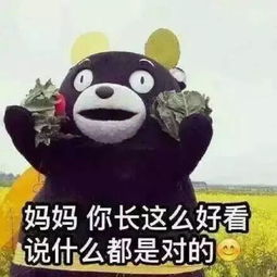  陪娃写作业,妈妈顺便考了教师资格证这届家长优秀得有点过分了