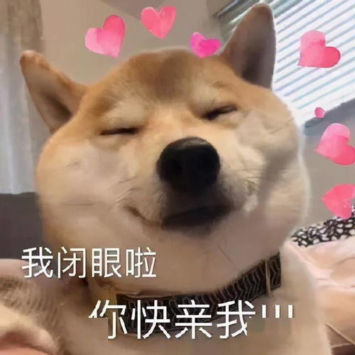 秀恩爱虐狗表情包校服