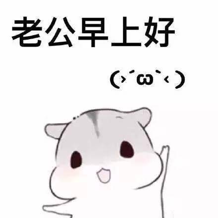  仓鼠叫老公的表情包