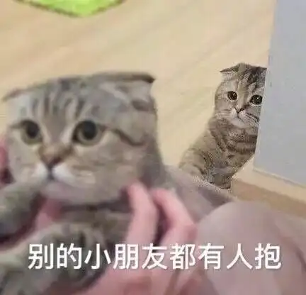 为什么很多人聊天都喜欢用猫咪表情包附最全猫咪表情包 为什么很多人聊天都喜欢用猫咪表情包附最全猫咪表情包