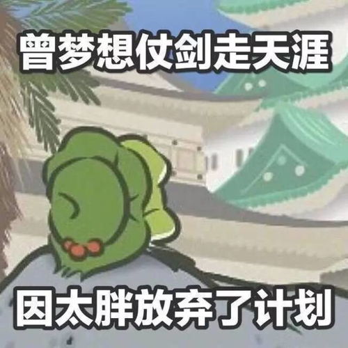 我看你行的表情包旅行青