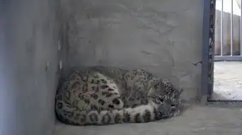 中国网新闻中心传递中国价值 中国网新闻中心传递中国价值