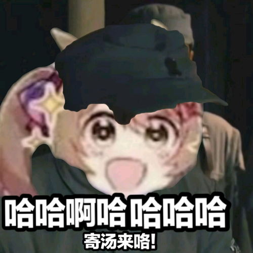 不中嘞哥赛马娘表情包