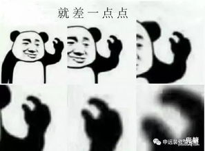  装修公司这么多,不坑你的有几个