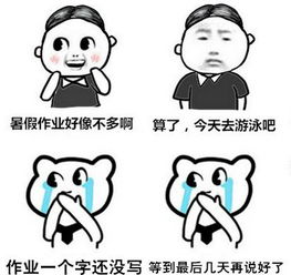  猥琐猫人脸之暑假抄作业表情包