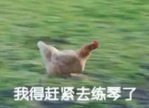  乐理知识五线谱到底是怎么来的
