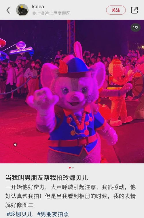  我的收藏