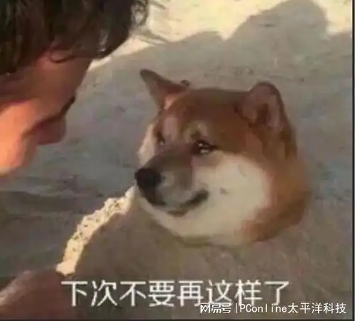  看麻了,日本科学家盯上活人皮