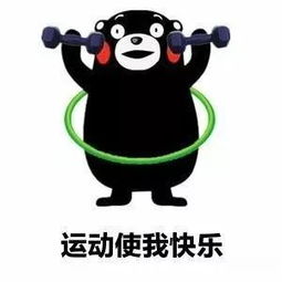  青春就要动起来1看我经管学子运动风采,积极备赛广播操