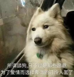 权志龙表情包搞笑沙雕舔
