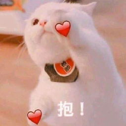  谁胖谁尴尬从关晓彤到包文婧,女星里面谁的身材管理做得最好