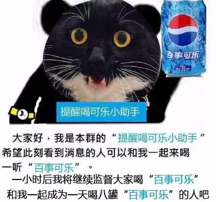 流泪猫咪一组流泪猫猫头 流泪猫咪一组流泪猫猫头