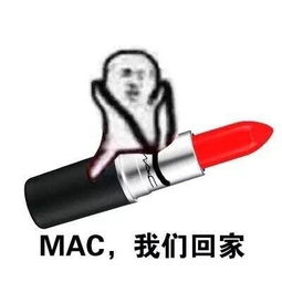  2017情人节口红走我们回家表情