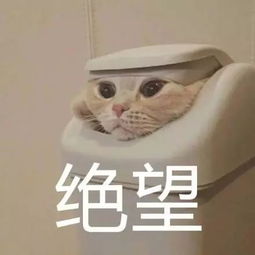  暖男同时和8个女友交往,牢记生理期更狗血的是...
